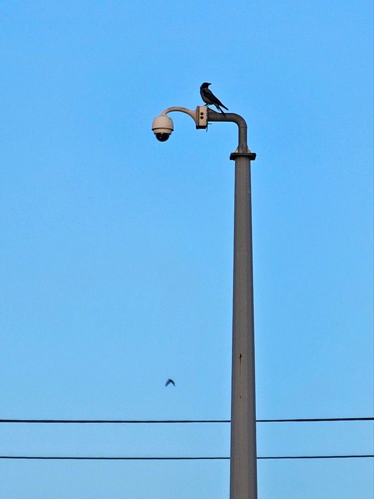 Фотография автора Samane Naji