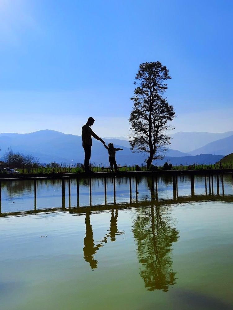 Фотография автора Samane Naji