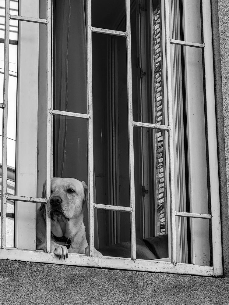 Photograph by Дарья