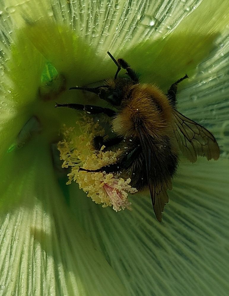 Photograph by Татьяна Гулакова