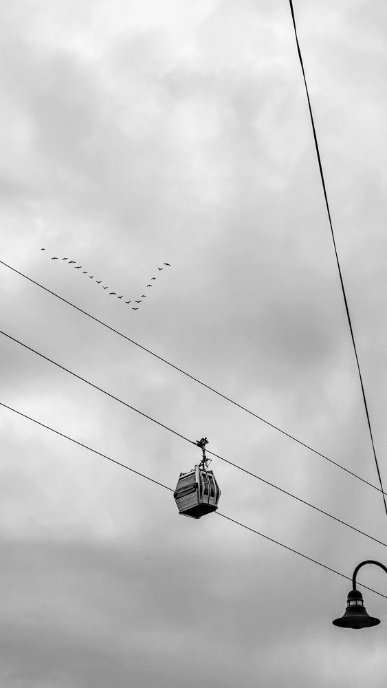 Photograph by Дарья