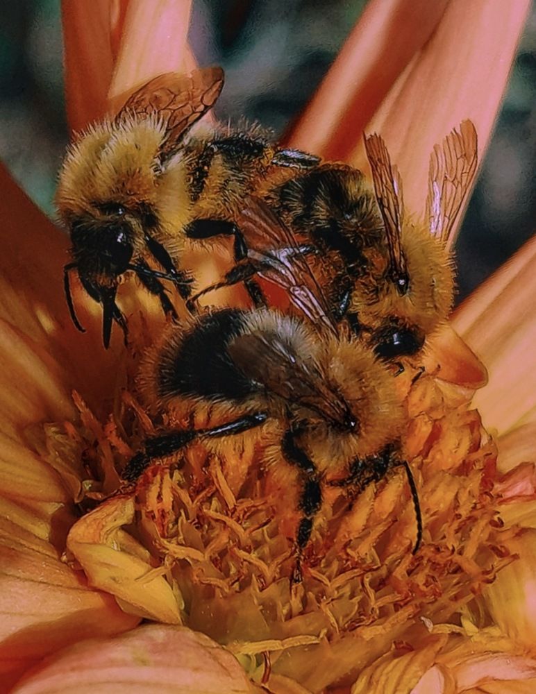 Photograph by Татьяна Гулакова