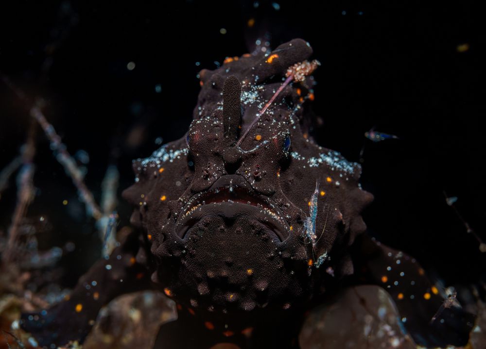 Photograph by Савин Андрей