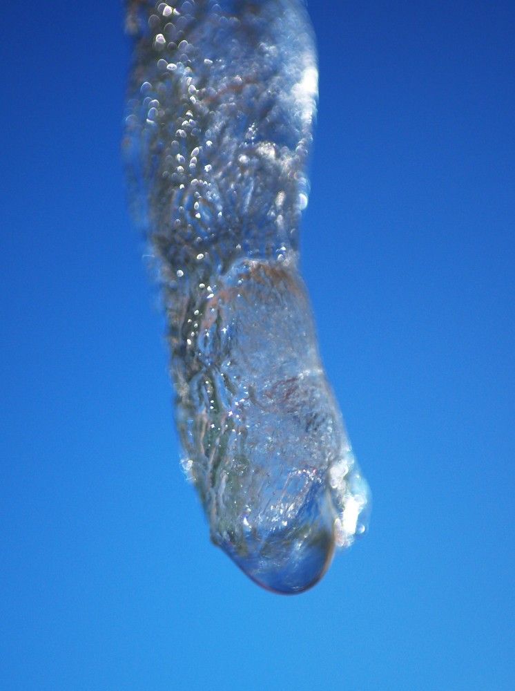 Фотография автора Ася Бабушкина