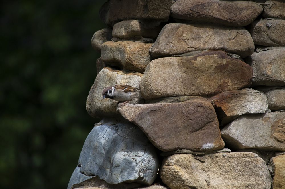 Photograph by Константин Мартынов