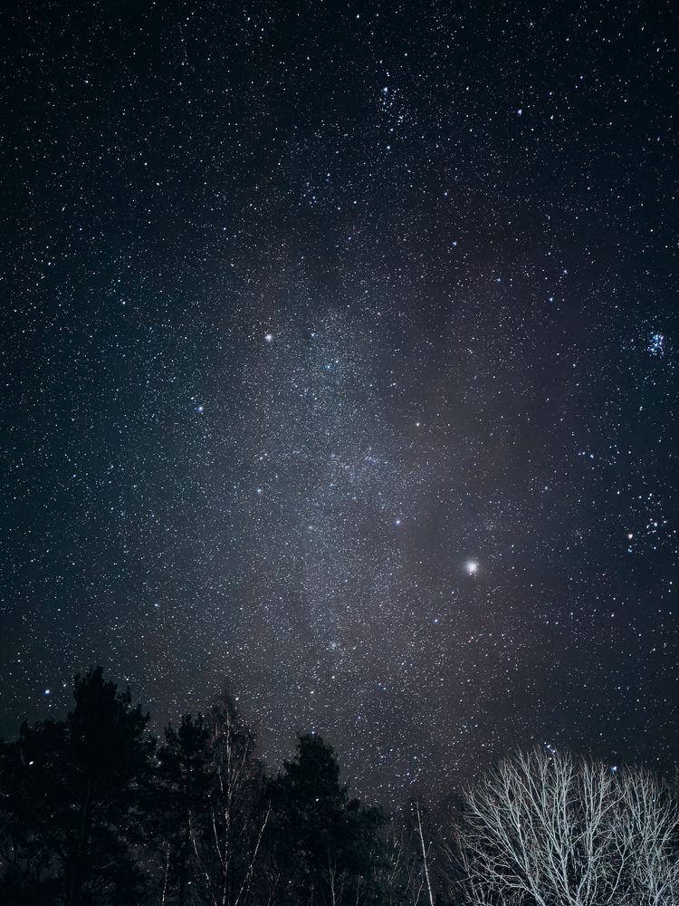 Photograph by Алиса Нежинская