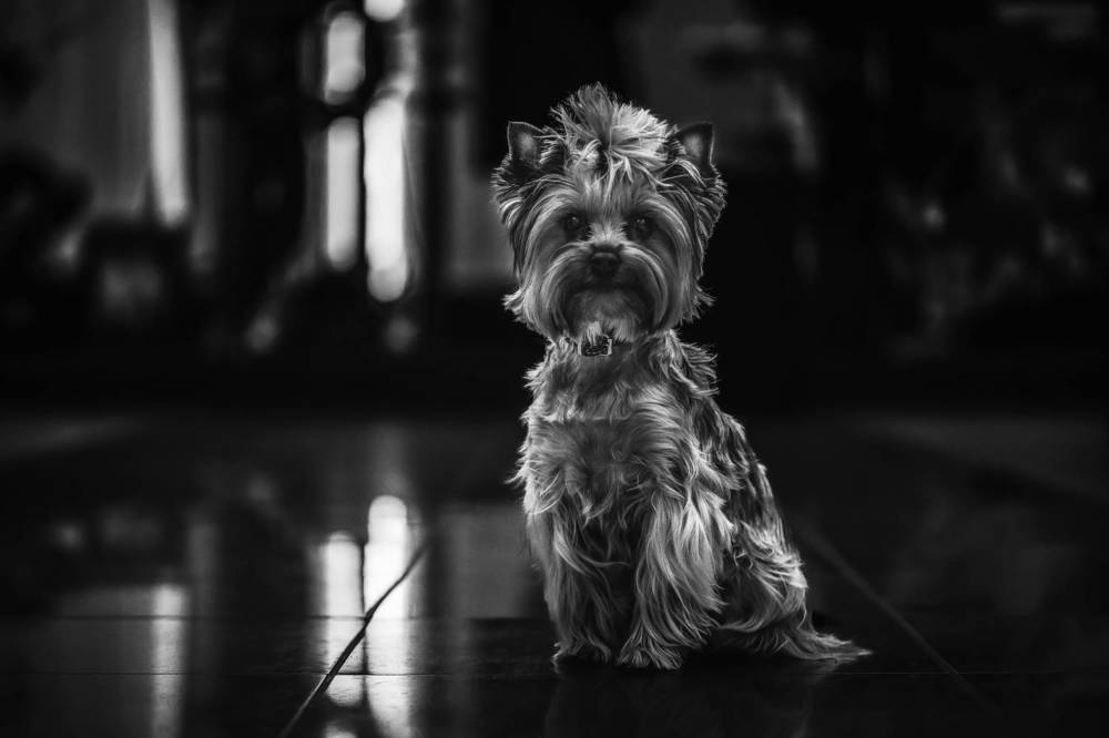 Photograph by Сергей Шпаков