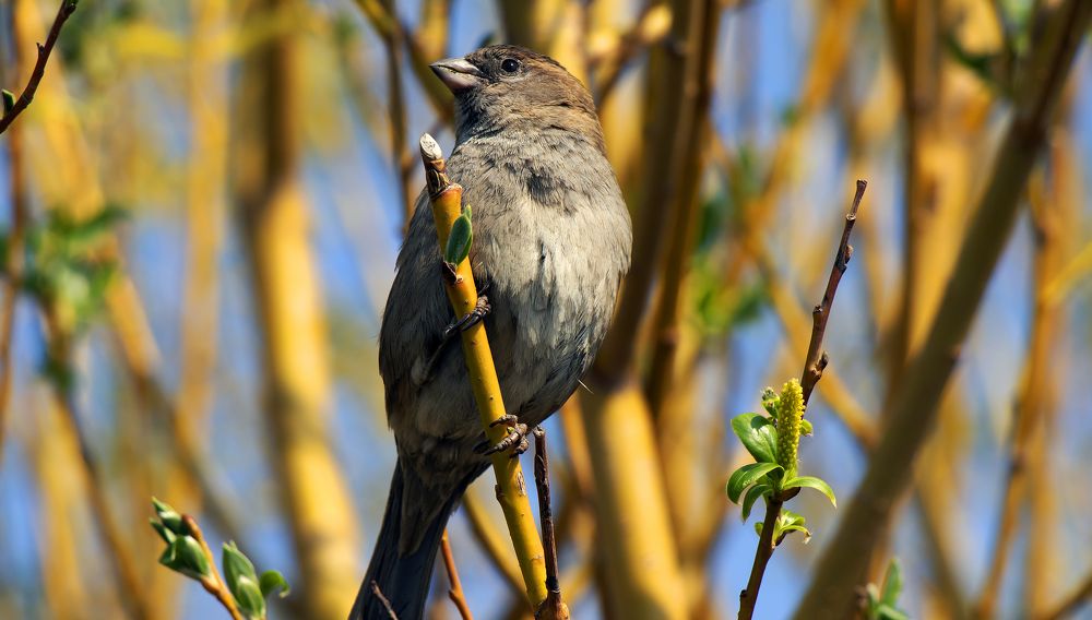 Фотография автора Александр Бичинев