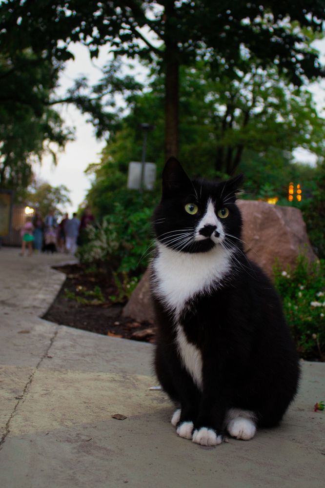 Photograph by Rygson