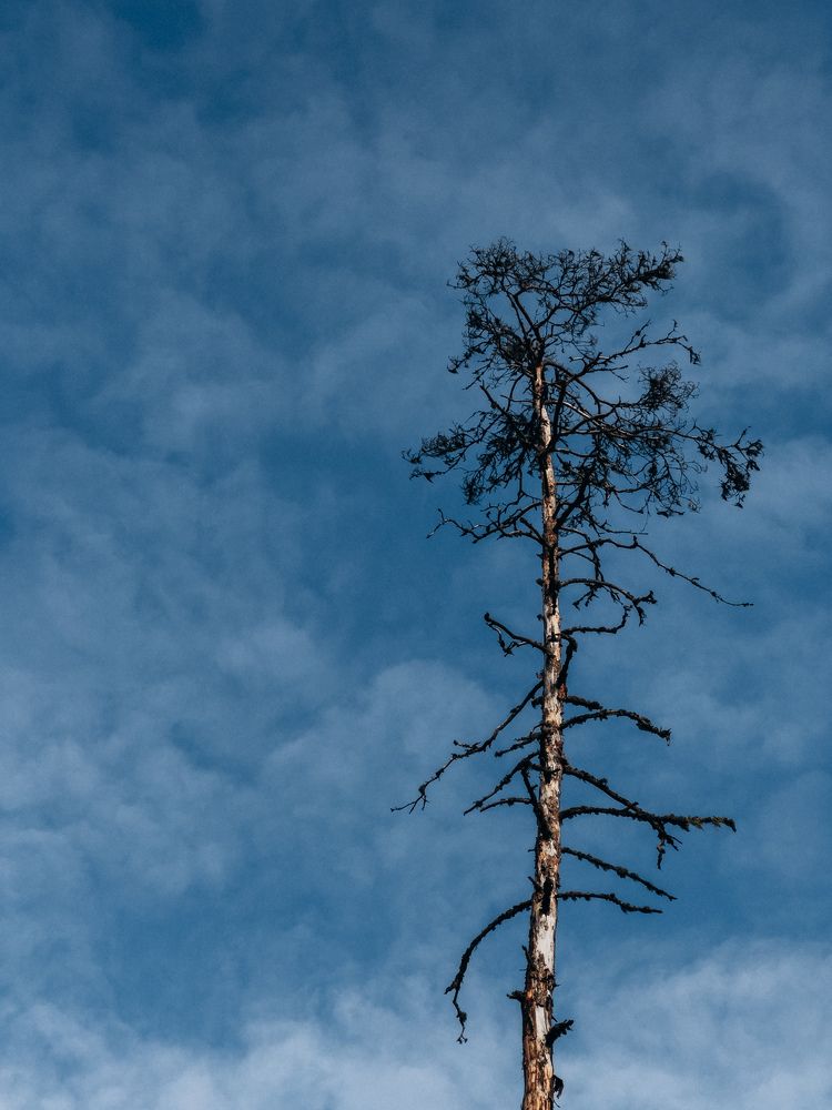 Photograph by Алиса Нежинская