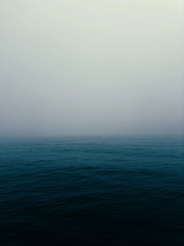 Photograph by Алиса Нежинская