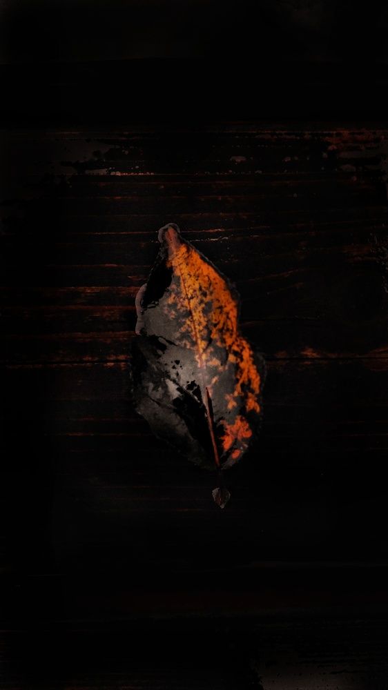 Photograph by Елена Гостева