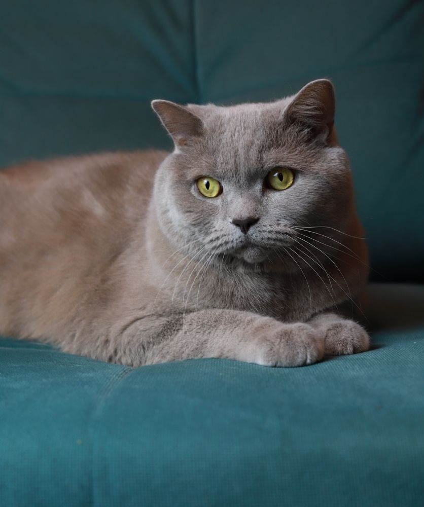 Photograph by Анастасия Солодкая