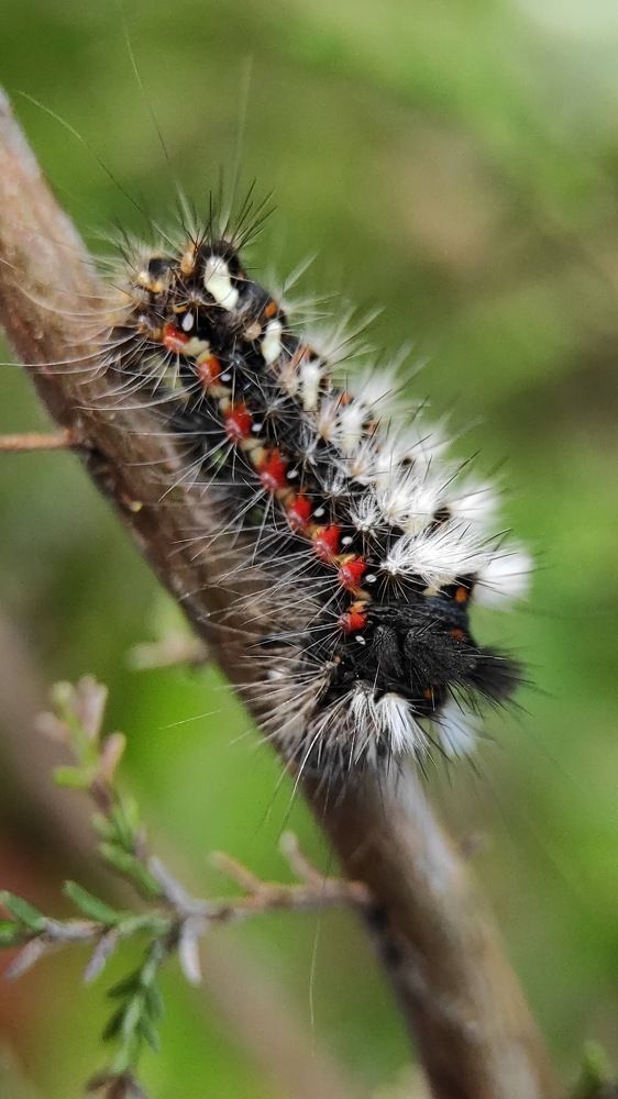 Фотография автора Марина Алексеевская
