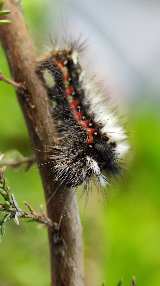 Фотография автора Марина Алексеевская