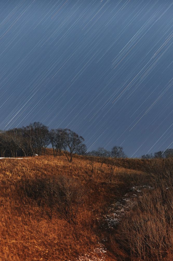 Photograph by Олег Мороз