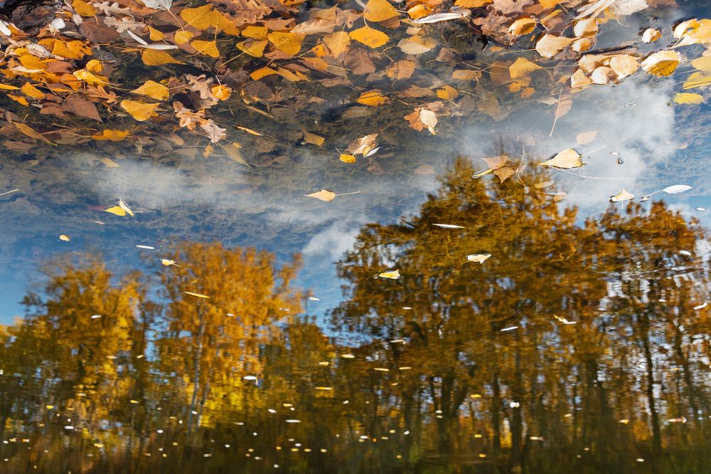 Photograph by Олег Крец