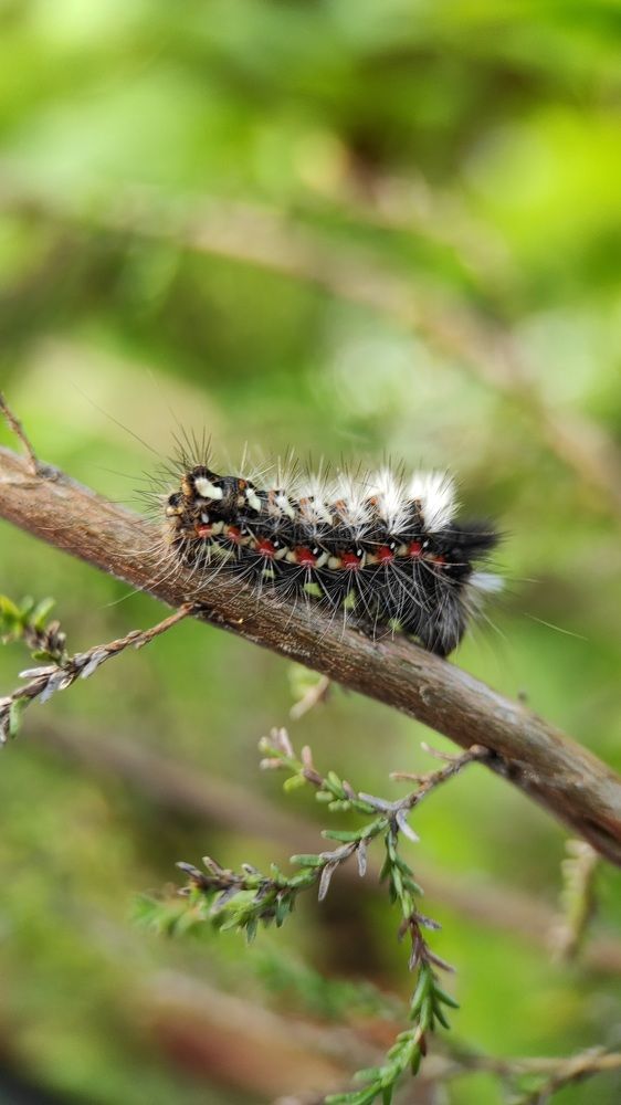 Фотография автора Марина Алексеевская