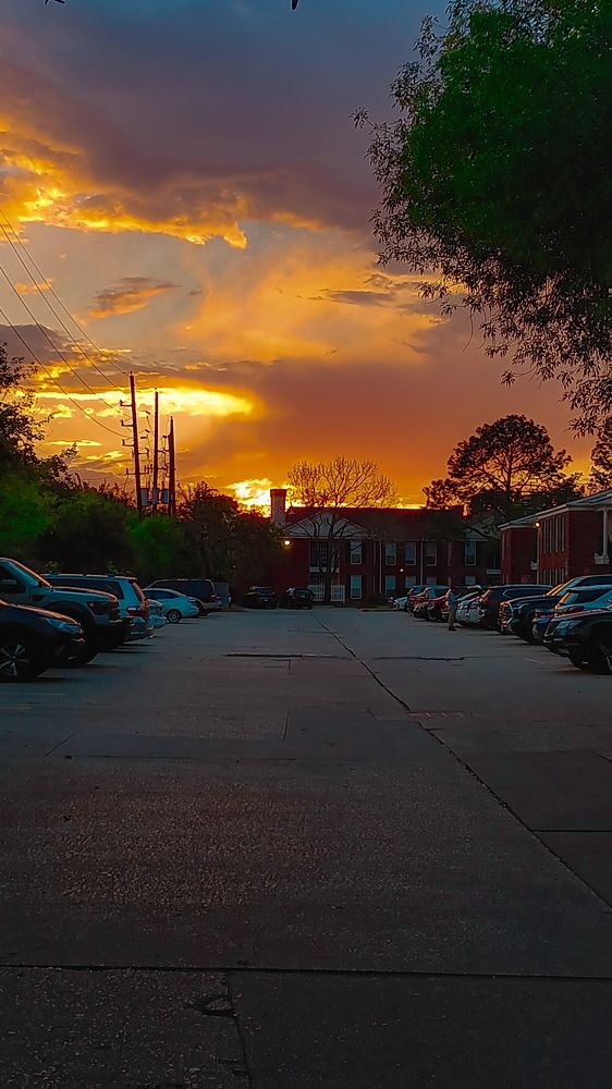 Atardecer