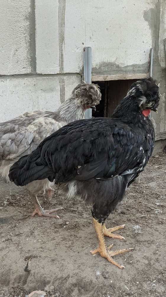 Фотография автора Васильева Ирина