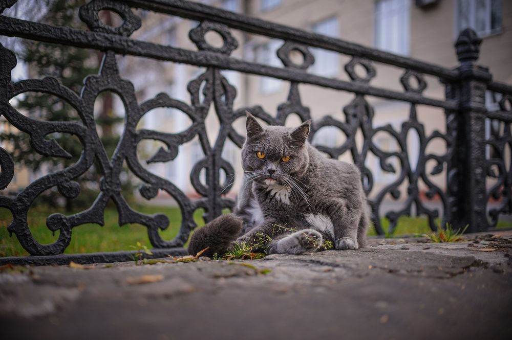 Photograph by Кирилл Богомазов