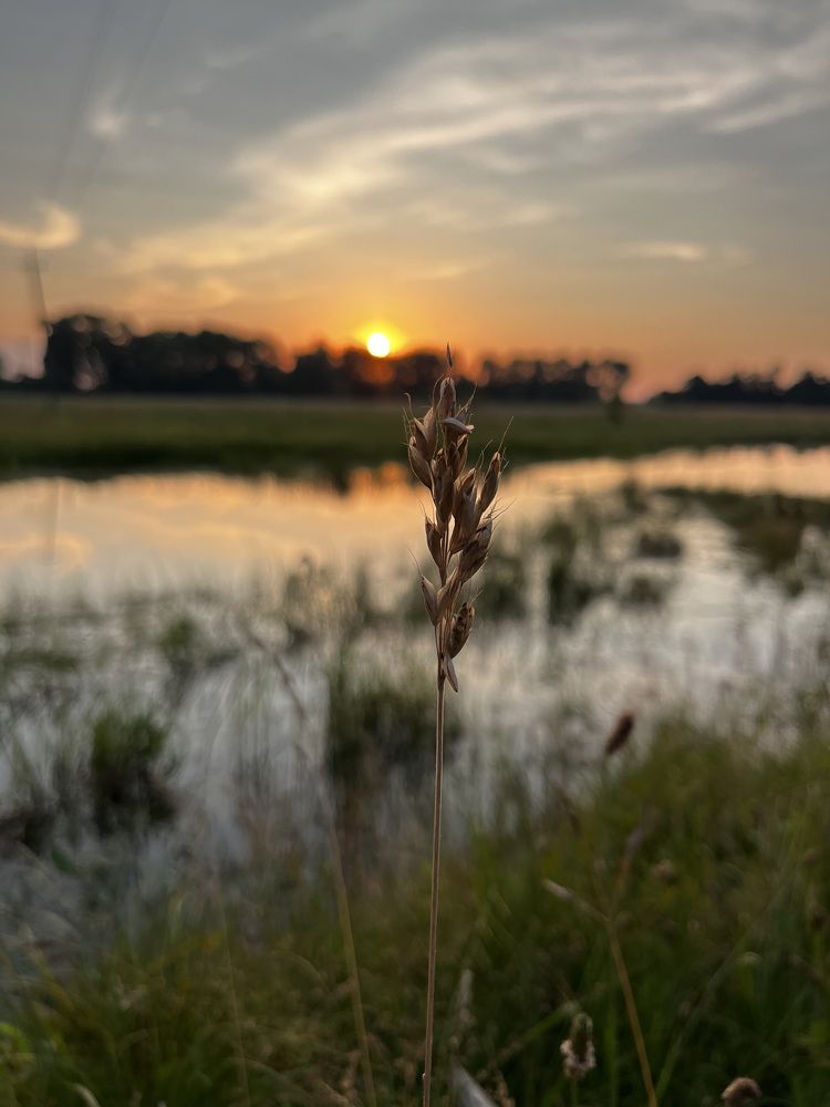 Photograph by Alina Tsilyk