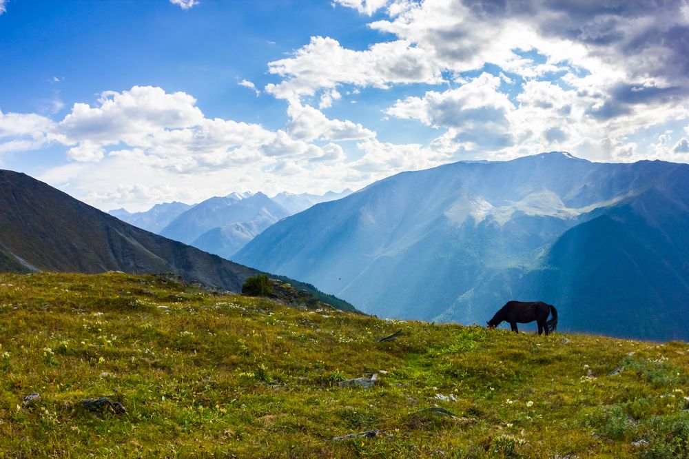 Photograph by Алексей