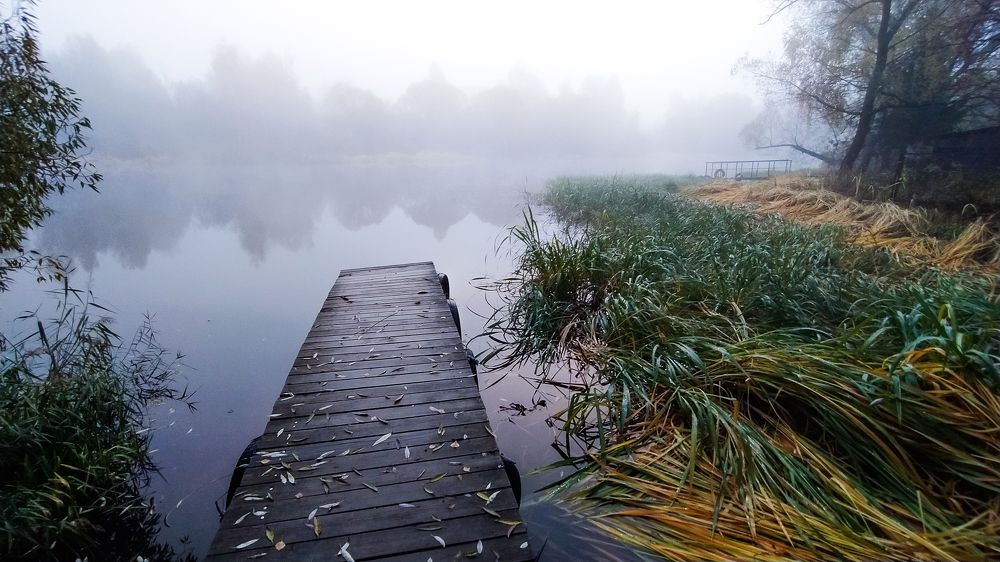 Завидово. Туманное утро.