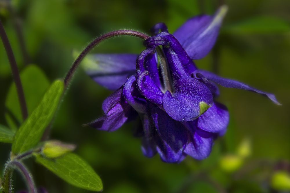 Photograph by Клясюк Галина