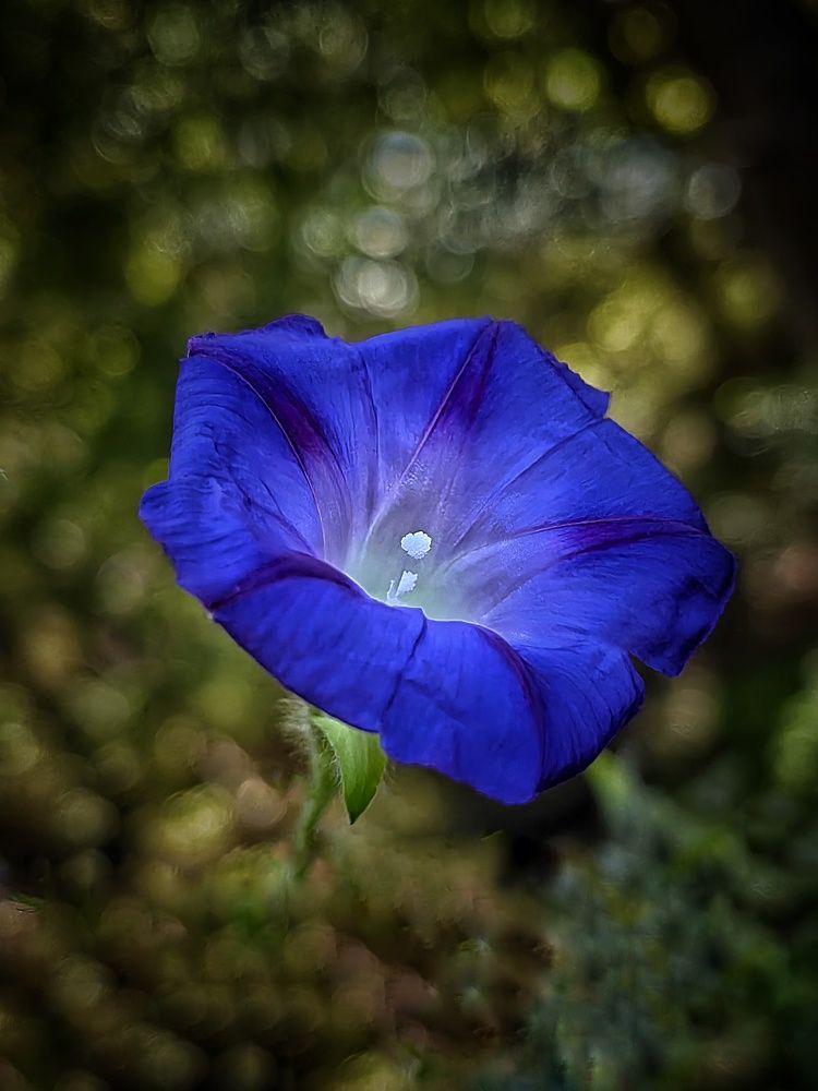 Фотография автора НАТАЛЬЯ СЕВЕР
