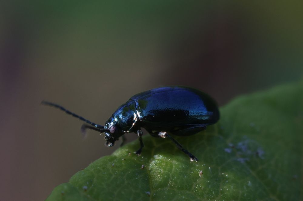 Photograph by Николай Усиков