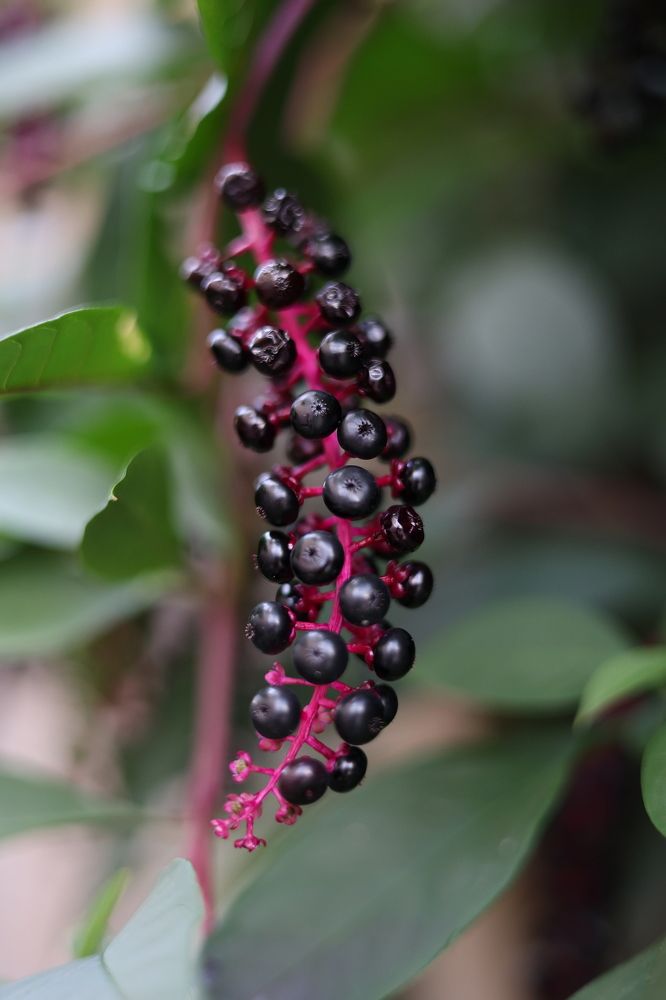 Photograph by Николай Усиков