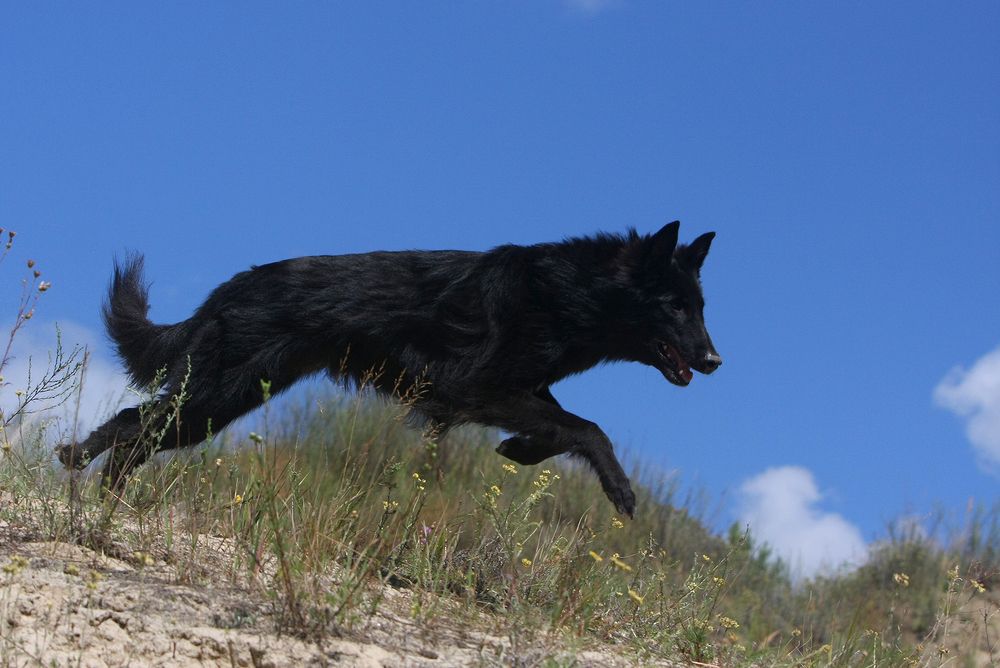 Фотография автора Надежда Лисицына