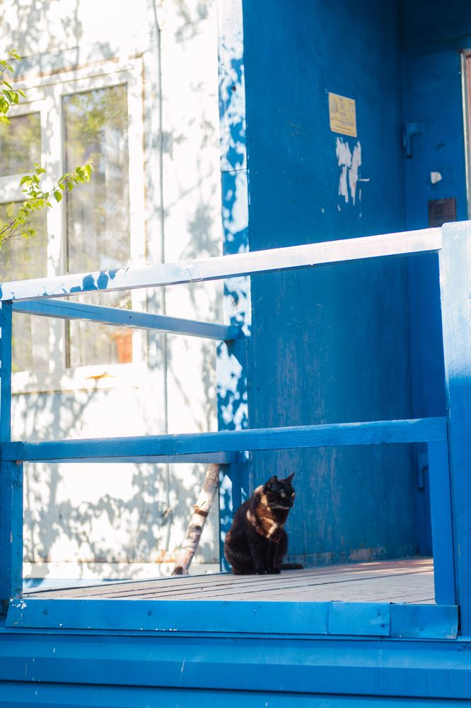 Photograph by Ольга Денисова