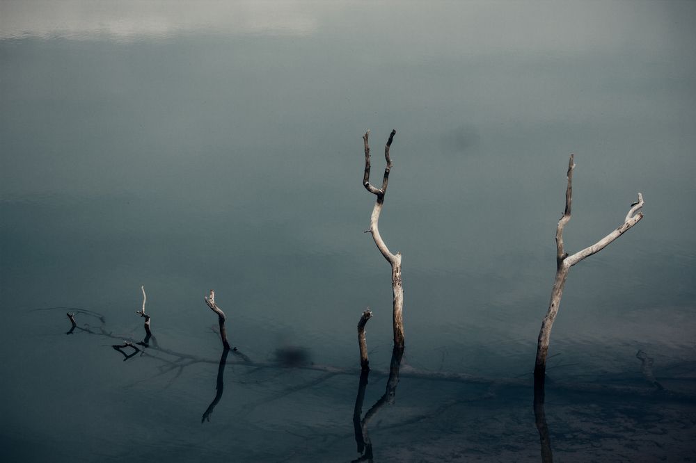 Photograph by Ольга Денисова