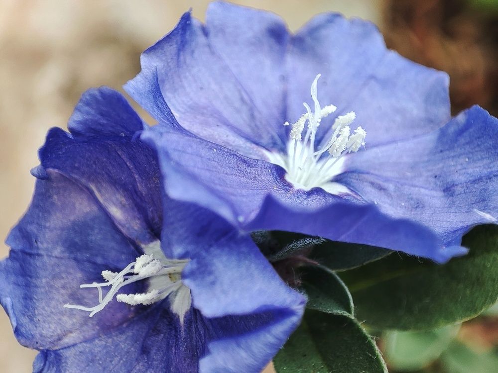 Photograph by Meilany Wijaya