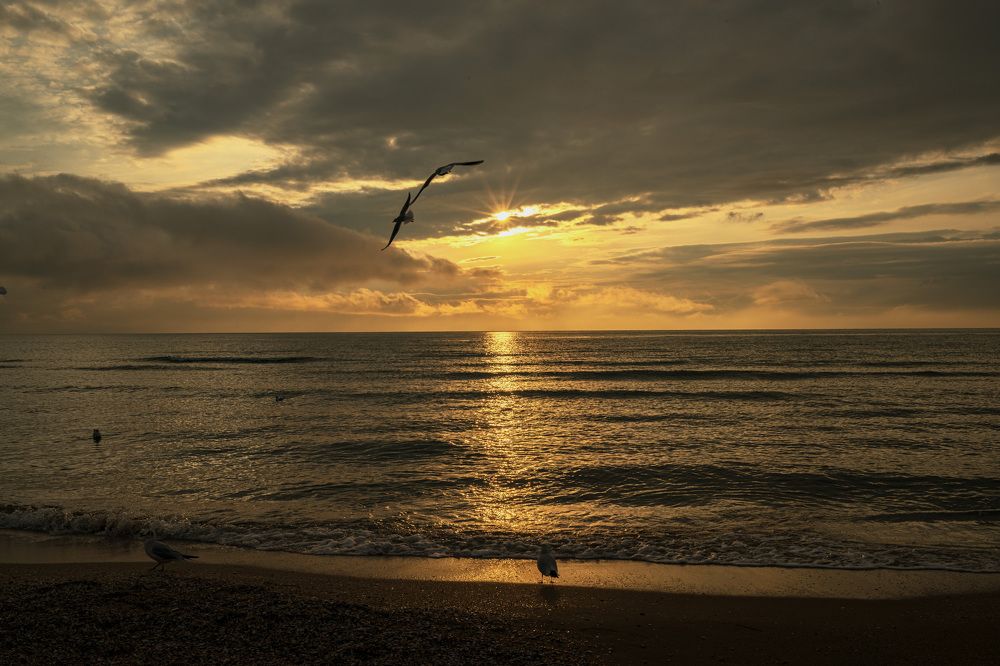 Photograph by Olga Smirnova