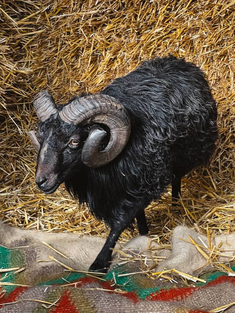 Photograph by Ольга Скиба