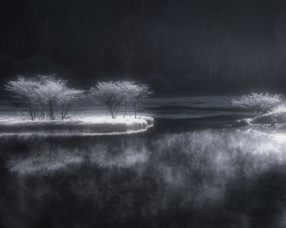 Photograph by Daiyu Moko