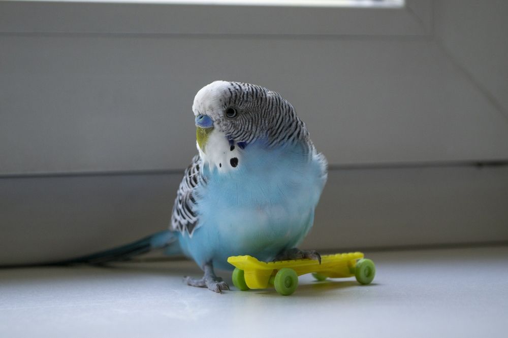 Photograph by Константин Мартынов