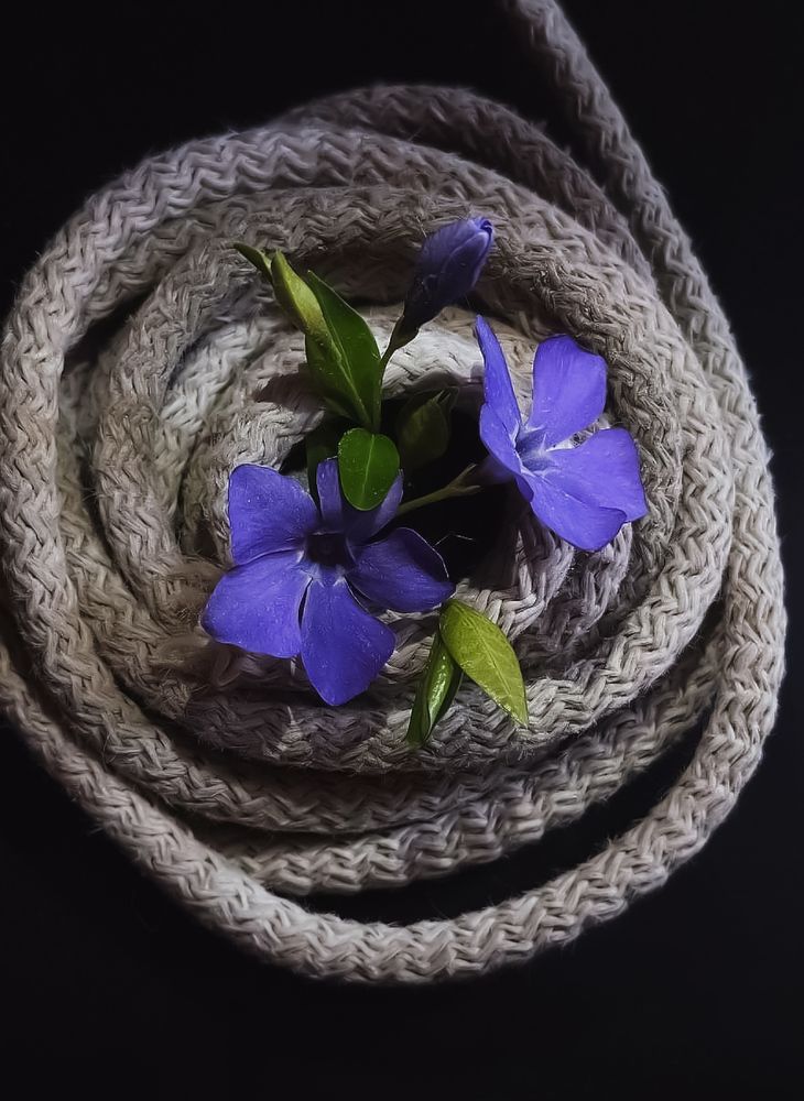 Photograph by Лилия Нурова