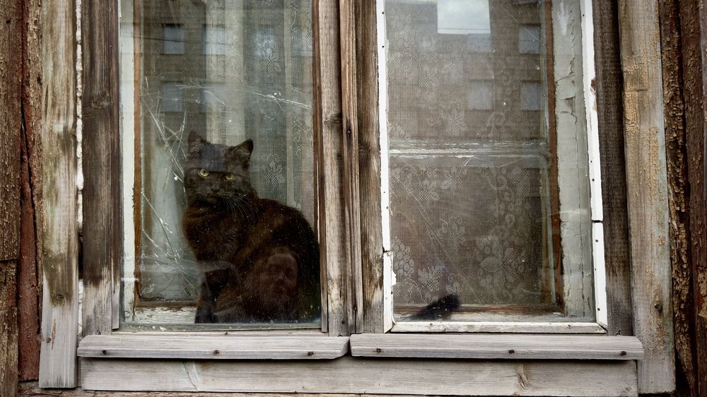 Photograph by Дмитрий Бобровский