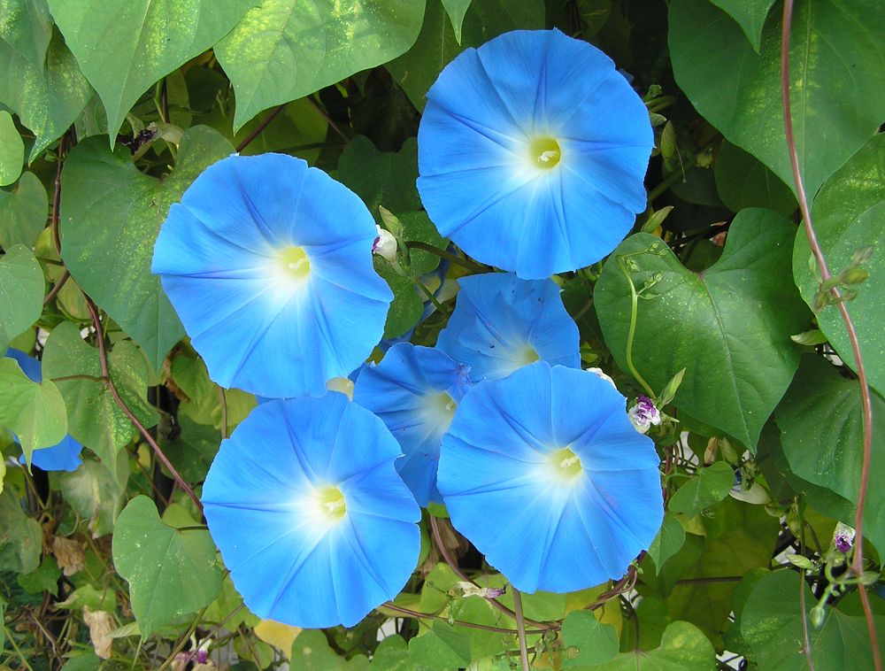 Photograph by Ирина Арканова