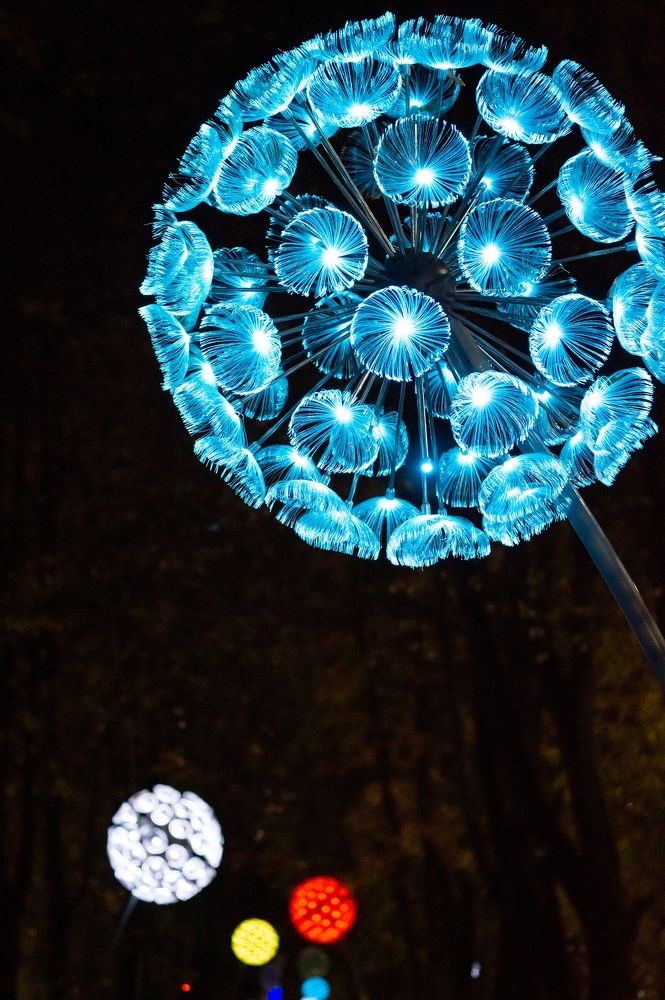 Photograph by Екатерина Одинцова