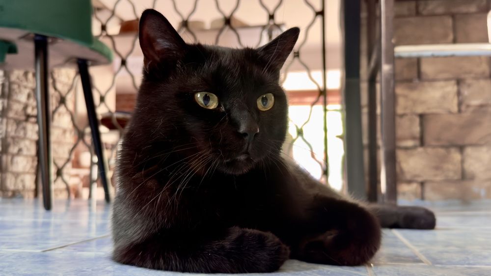 Photograph by Дмитрий Бобровский