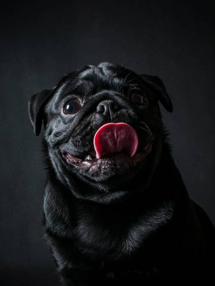 Photograph by Юлианна Митрофанова