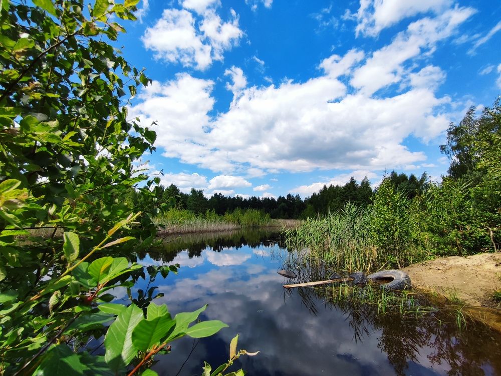 Photograph by Инна Новикова