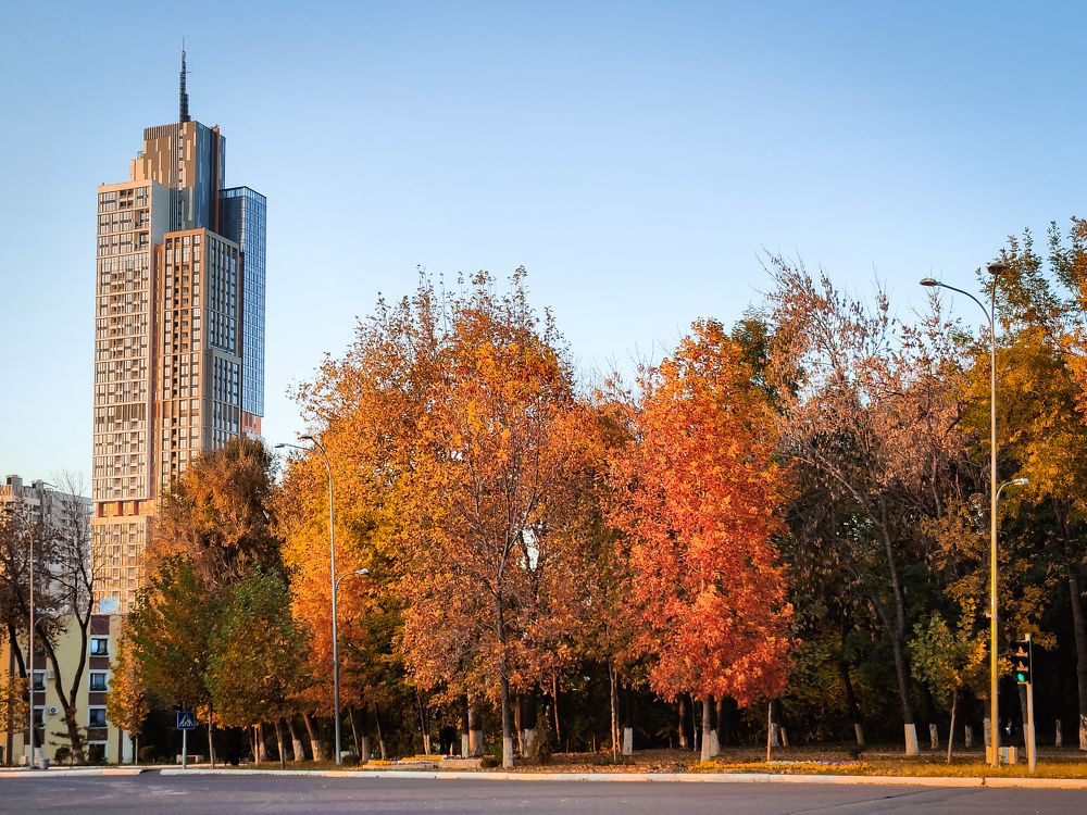 Photograph by Irina Grass