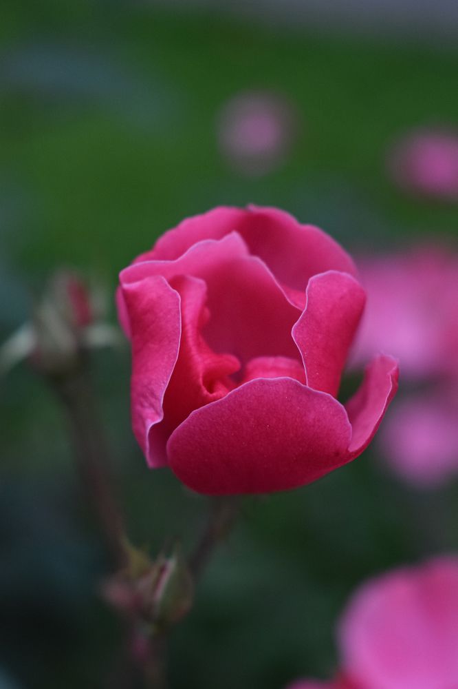 Photograph by Александра Климук