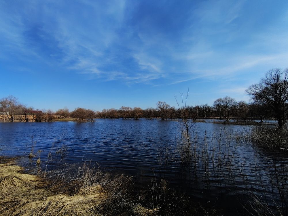 Photograph by Инна Новикова